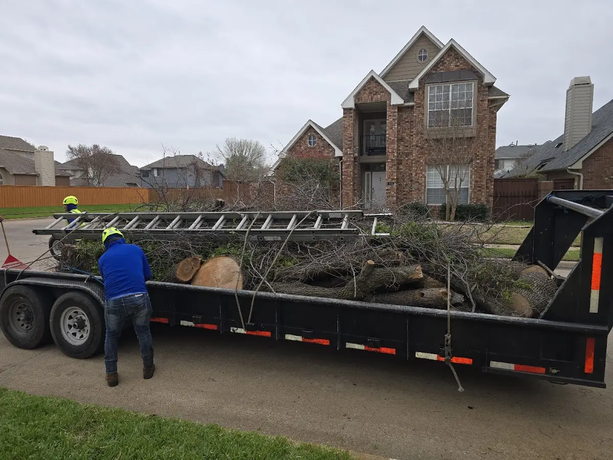Expert Lot Clearing with proper safety equipment in Capron